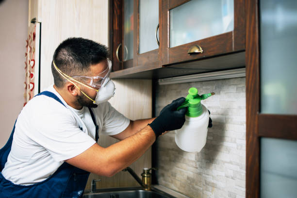 Best Mosquito Control Services  in Clinton, IL