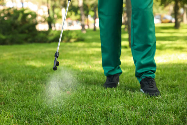 Best Termite Control Services  in Clinton, IL