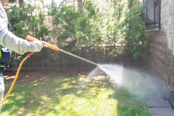 Best Pest Removal Services  in Clinton, IL