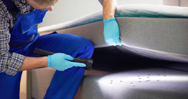 Best Pest Inspection Near Me  in Clinton, IL