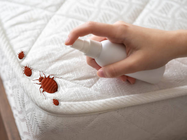 Best Ant Control Services  in Clinton, IL
