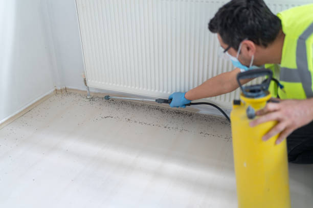Best Exterminator Services  in Clinton, IL