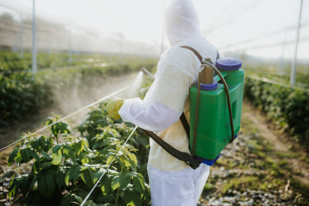 Best Insect Control  in Clinton, IL